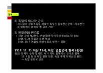 제 1차 세계대전 원인,전개,결과 및 영향-12