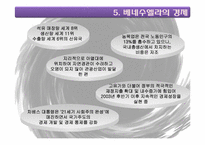 [중남미정치경제] 베네수엘라(Venezuela)-16