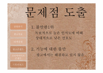 엘라스틴 광고기획서-10