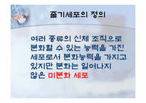 성체줄기세포(adult stem cell)-3