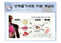 성체줄기세포(adult stem cell)-10