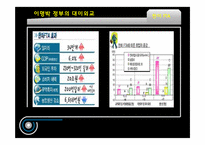이명박 정부의 외교정책-8