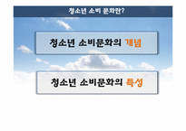 청소년 소비문화-3