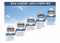 청소년 소비문화-4