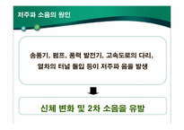 새롭게 등장한 환경문제의 원인과 피해실태-10