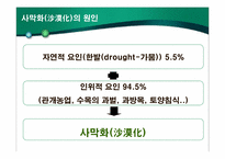새롭게 등장한 환경문제의 원인과 피해실태-18