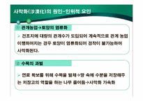 새롭게 등장한 환경문제의 원인과 피해실태-19