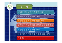 집단 안전 보장 이론-2