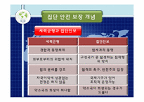 집단 안전 보장 이론-9