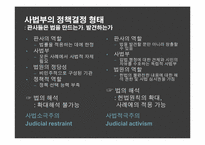 미국의 사법심사제도-13