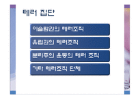 [국제기구] 테러리즘에 대한 국제적 대응-5