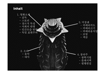 독일 표현주의 거장의 묵시록, 메트로폴리스-2