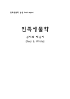김치와 백김치 레포트-1