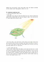 생물다양성과 수목생리학-12