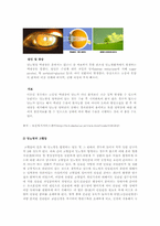 [임상영양학] 제2형 당뇨병 사례연구-3