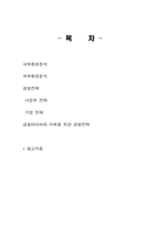 [전략경영론] 금호타이어와 브리지스톤의경영전략-2