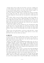 [전략경영론] 금호타이어와 브리지스톤의경영전략-18