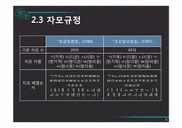 [국어정서법] 남북한 맞춤법의 비교와 통합 맞춤법에 대한 구상-8
