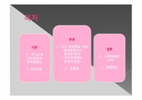 [기독교의 이해]나이지리아와 북아일랜드의 종교분쟁 해결책-2