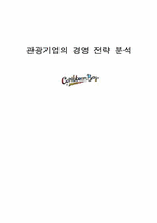 캐리비안 베이의 경영 전략 분석-1