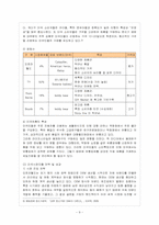 [국제경영] 오로라월드의 해외진출성공전략-9