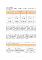 [국제경영] 오로라월드의 해외진출성공전략-14