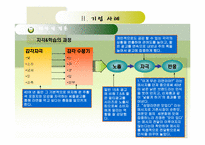 4장 지각과 학습 사례-19
