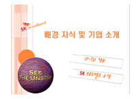 SK브로드밴드 광고 전략 기획서-3