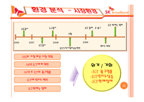 SK브로드밴드 광고 전략 기획서-12