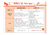 SK브로드밴드 광고 전략 기획서-14
