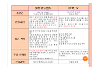 SK브로드밴드 광고 전략 기획서-15