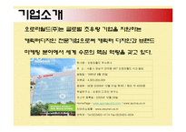 [국제경영] 오로라월드의 해외진출성공전략-4