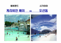 [관광개발론] 워터파크 캐리비안 베이 vs 시가이아 오션 돔-6