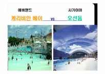 [관광개발론] 워터파크 캐리비안 베이 vs 시가이아 오션 돔-14