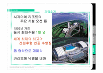 [관광개발론] 워터파크 캐리비안 베이 vs 시가이아 오션 돔-15
