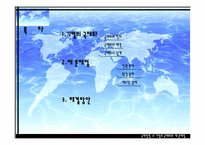 [국제경영] 기업의 국제화와 제 문제점-2