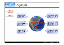 [국제경영] 기업의 국제화와 제 문제점-5