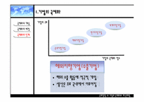 [국제경영] 기업의 국제화와 제 문제점-6