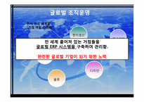 [국제경영] 기업의 국제화와 제 문제점-14