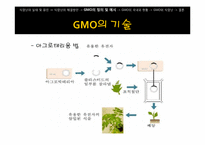 [과학사] GMO와 미래 식량난-15