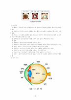기독교 관점으로 본 시각장애인들-5