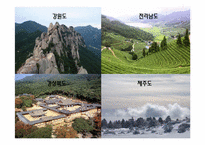 [지역기업경영론] 전라북도 4대 전략산업의 현황-18