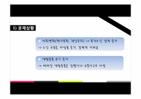 반려동물을 통한 노인의 정서지원 효과성 프로그램-10