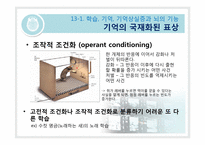 [생물심리학] 학습과 기억의 생물학-3