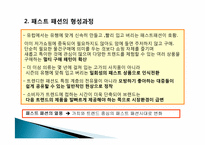 패스트 패션에 대한 소비자인식조사 -대학생 소비자를 중심으로-5
