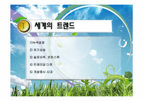 [해외시장조사론] 세계트렌드에 따른 자전거 수출전략-3