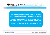 현대미포조선의 재무비율 분석-3