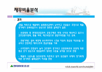 현대미포조선의 재무비율 분석-10