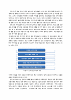 다이렉트 보험의 문제점과 개선방안-5