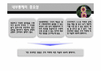 [경영] 내부통제제도-4